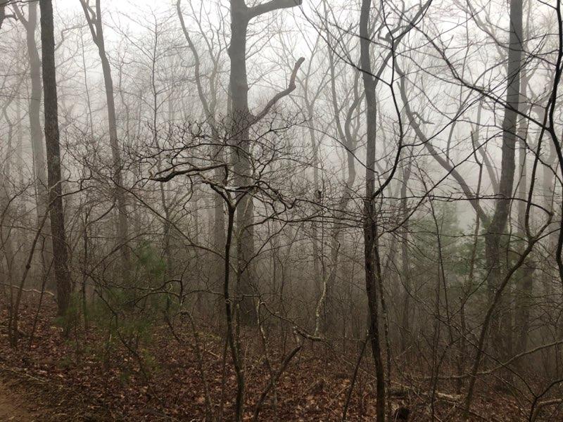 Overcast